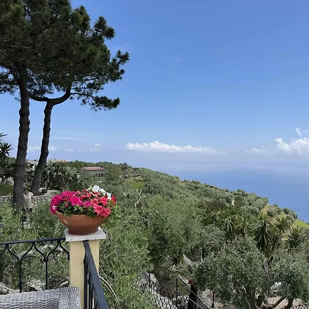 Neranya - Positano By Feeling Italy *